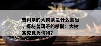 普洱茶的大树茶是什么意思，探秘普洱茶的精髓：大树茶究竟为何物？