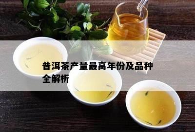 普洱茶产量更高年份及品种全解析