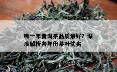 哪一年普洱茶品质更好？深度解析各年份茶叶优劣