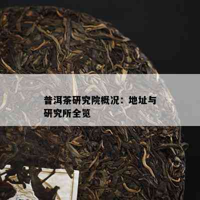 普洱茶研究院概况：地址与研究所全览