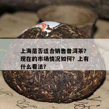 上海是不是适合销售普洱茶？现在的市场情况怎样？上有什么看法？