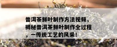 普洱茶鲜叶制作方法视频，揭秘普洱茶鲜叶制作全过程，一传统工艺的风采！