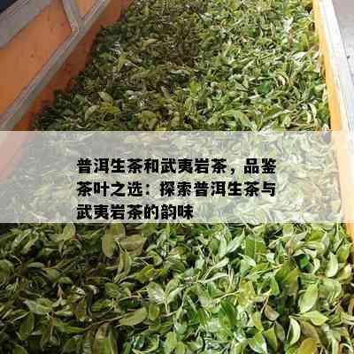 普洱生茶和武夷岩茶，品鉴茶叶之选：探索普洱生茶与武夷岩茶的韵味