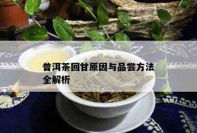 普洱茶回甘起因与品尝方法全解析