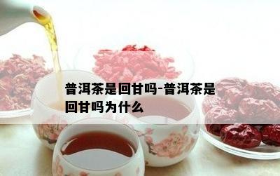 普洱茶是回甘吗-普洱茶是回甘吗为什么