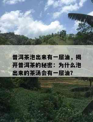 普洱茶泡出来有一层油，揭开普洱茶的秘密：为什么泡出来的茶汤会有一层油？