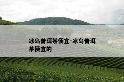 冰岛普洱茶便宜-冰岛普洱茶便宜的