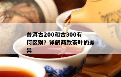 普洱古200和古300有何区别？详解两款茶叶的差异