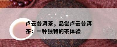 卢云普洱茶，品尝卢云普洱茶：一种特别的茶体验