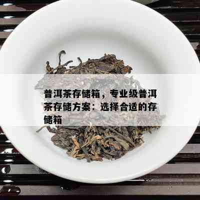 普洱茶存储箱，专业级普洱茶存储方案：选择合适的存储箱