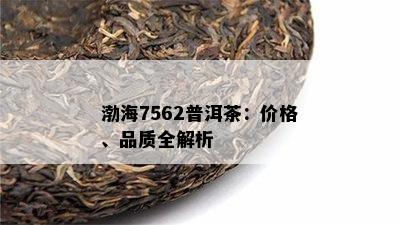 渤海7562普洱茶：价格、品质全解析