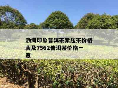 渤海印象普洱茶紧压茶价格表及7562普洱茶价格一览