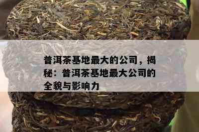 普洱茶基地更大的公司，揭秘：普洱茶基地更大公司的全貌与作用力