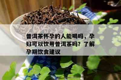 普洱茶怀孕的人能喝吗，孕妇可以饮用普洱茶吗？了解孕期饮食建议