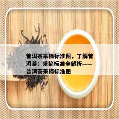 普洱茶采摘标准图，了解普洱茶：采摘标准全解析——普洱茶采摘标准图