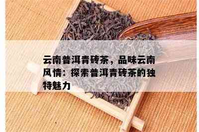 云南普洱青砖茶，品味云南风情：探索普洱青砖茶的特别魅力