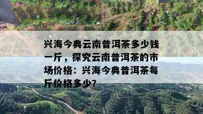 兴海今典云南普洱茶多少钱一斤，探究云南普洱茶的市场价格：兴海今典普洱茶每斤价格多少？