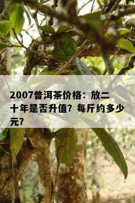 2007普洱茶价格：放二十年是否升值？每斤约多少元？