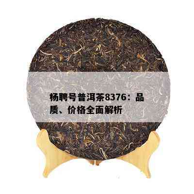 杨聘号普洱茶8376：品质、价格全面解析