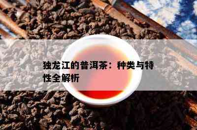 独龙江的普洱茶：种类与特性全解析