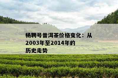 杨聘号普洱茶价格变化：从2003年至2014年的历史走势