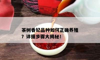 茶树香妃品种怎样正确养殖？详细步骤大揭秘！