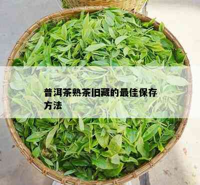 普洱茶熟茶旧藏的更佳保存方法