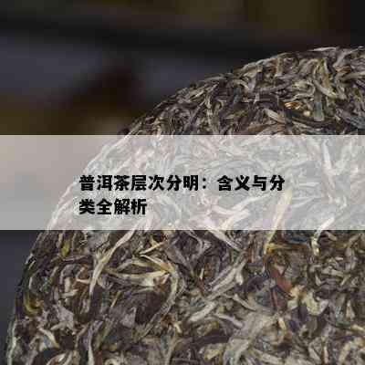 普洱茶层次分明：含义与分类全解析