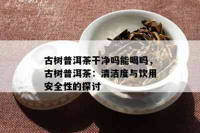 古树普洱茶干净吗能喝吗，古树普洱茶：清洁度与饮用安全性的探讨