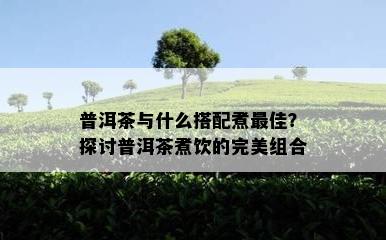 普洱茶与什么搭配煮更佳？探讨普洱茶煮饮的完美组合