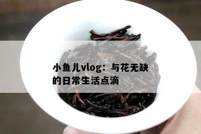 小儿vlog：与花无缺的日常生活点滴