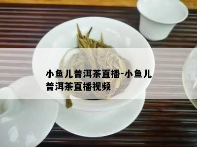 小儿普洱茶直播-小儿普洱茶直播视频