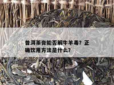 普洱茶膏能否解牛羊？正确饮用方法是什么？