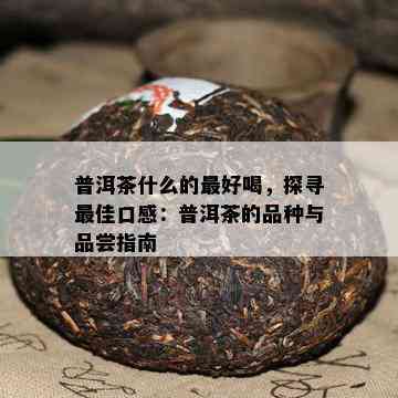 普洱茶什么的更好喝，探寻更佳口感：普洱茶的品种与品尝指南