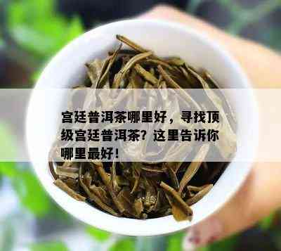 宫廷普洱茶哪里好，寻找顶级宫廷普洱茶？这里告诉你哪里更好！