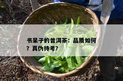 书呆子的普洱茶：品质怎样？真伪待考？