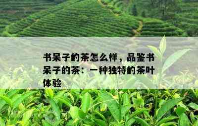 书呆子的茶怎么样，品鉴书呆子的茶：一种特别的茶叶体验