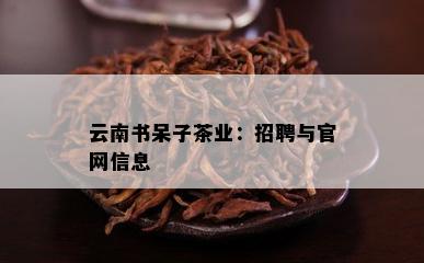 云南书呆子茶业：招聘与官网信息