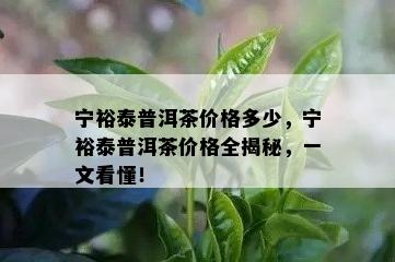 宁裕泰普洱茶价格多少，宁裕泰普洱茶价格全揭秘，一文看懂！