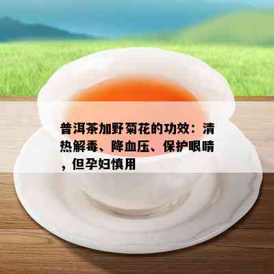 普洱茶加野菊花的功效：清热解、降血压、保护眼睛，但孕妇慎用