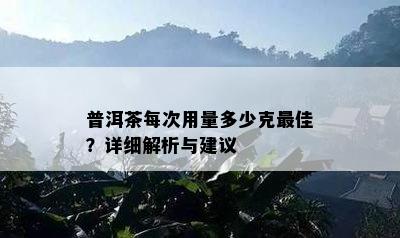 普洱茶每次用量多少克更佳？详细解析与建议