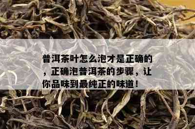 普洱茶叶怎么泡才是正确的，正确泡普洱茶的步骤，让你品味到最纯正的味道！