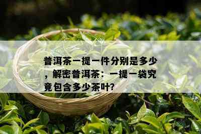 普洱茶一提一件分别是多少，解密普洱茶：一提一袋究竟包含多少茶叶？