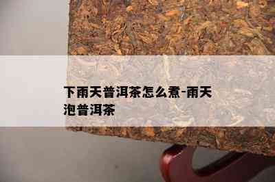 下雨天普洱茶怎么煮-雨天泡普洱茶