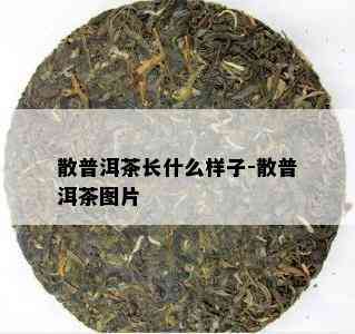 散普洱茶长什么样子-散普洱茶图片