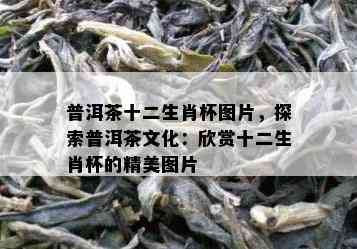 普洱茶十二生肖杯图片，探索普洱茶文化：欣赏十二生肖杯的精美图片