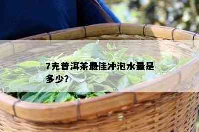 7克普洱茶更佳冲泡水量是多少？