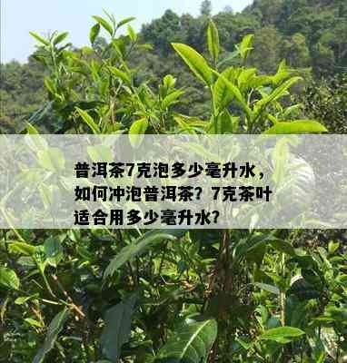 普洱茶7克泡多少毫升水，如何冲泡普洱茶？7克茶叶适合用多少毫升水？