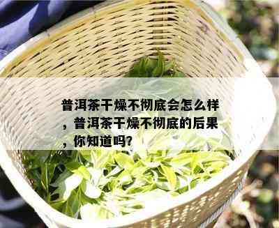 普洱茶干燥不彻底会怎么样，普洱茶干燥不彻底的结果，你知道吗？