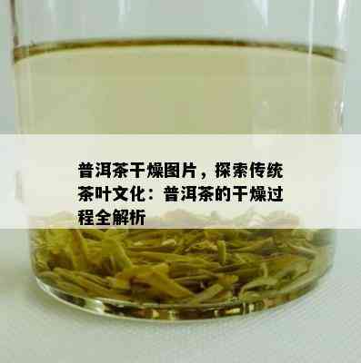 普洱茶干燥图片，探索传统茶叶文化：普洱茶的干燥过程全解析